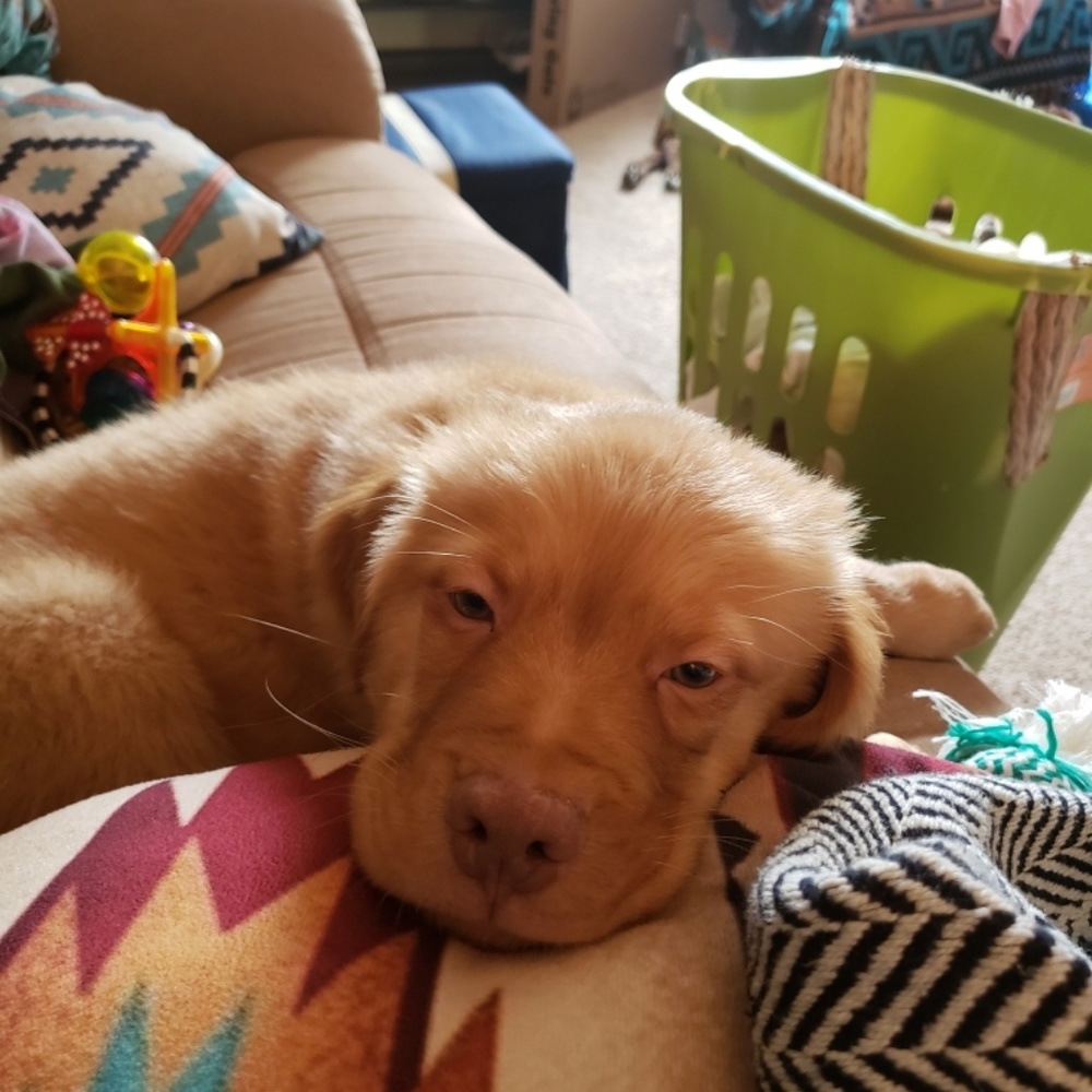 Meet your Posher, Gabbie